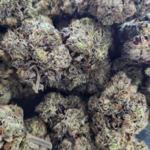 Pink Patron (AAAAAA)