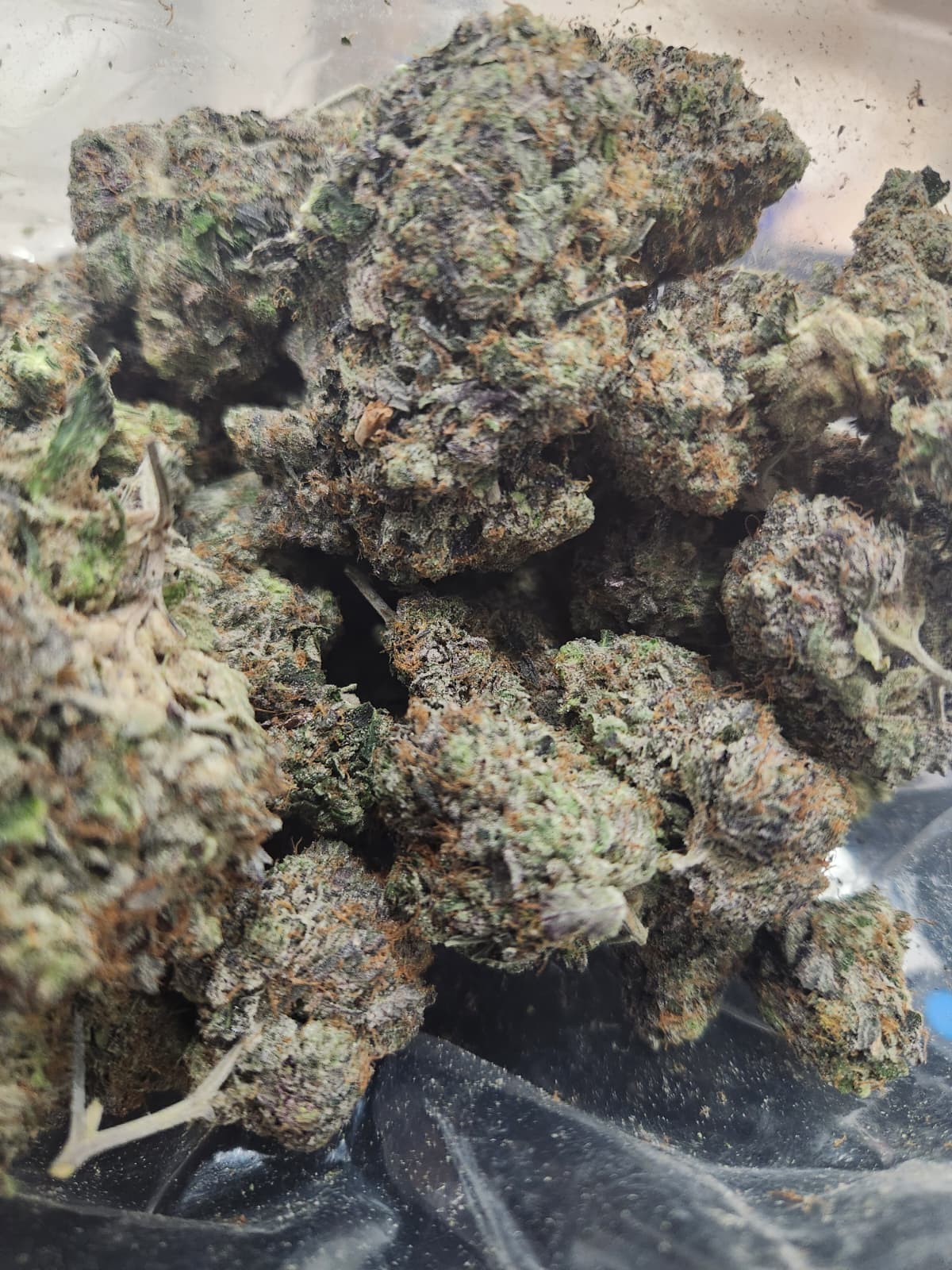 Pink Panther (AAAAA)