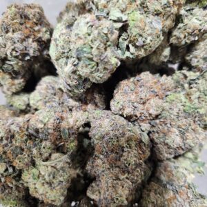 Pink Anxiety (AAAAA)