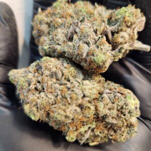 Pink Poison (AAAAAA)