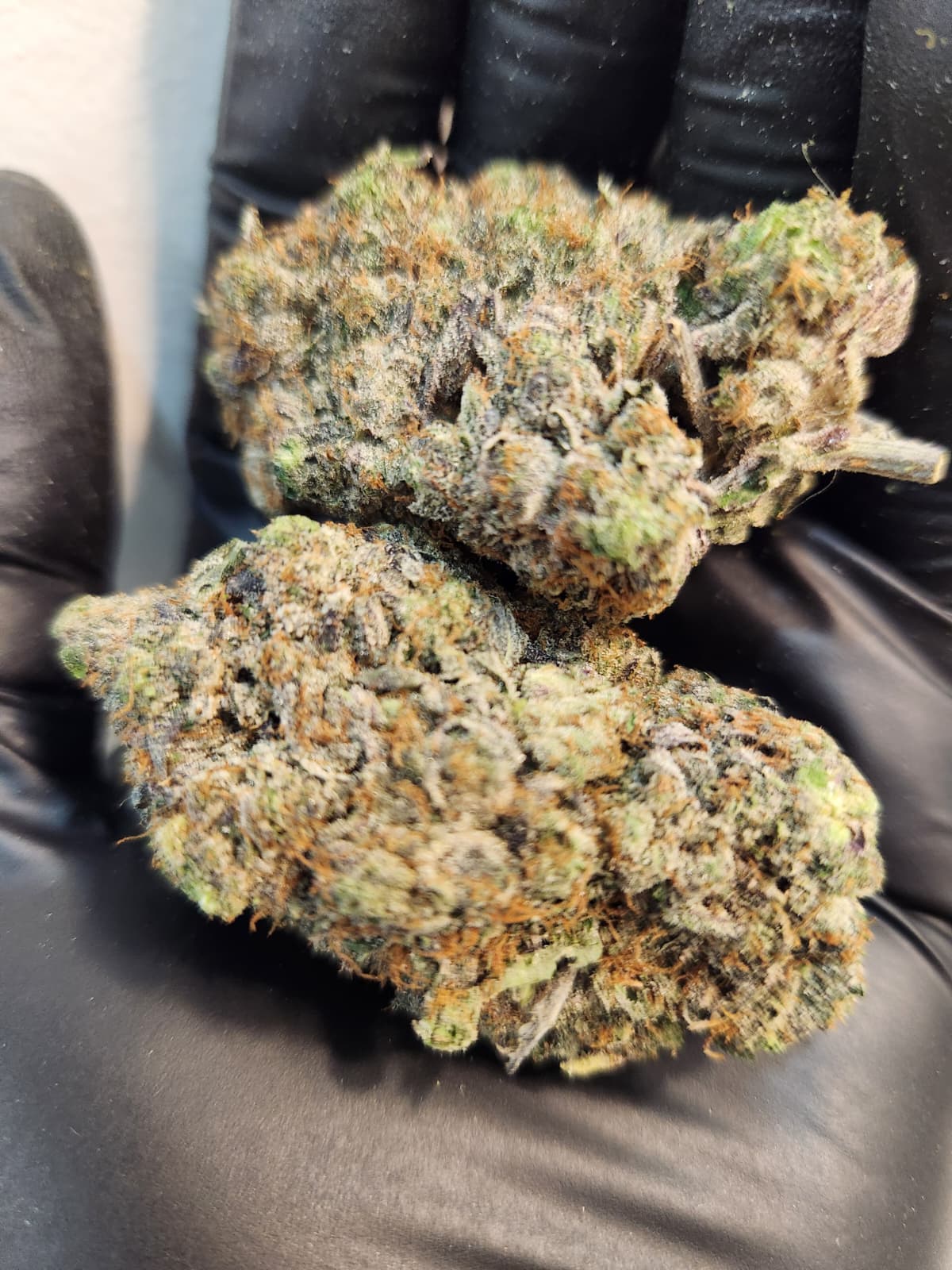 Pink Poison (AAAAAA)