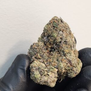 Friday Night Gass (AAAAA)