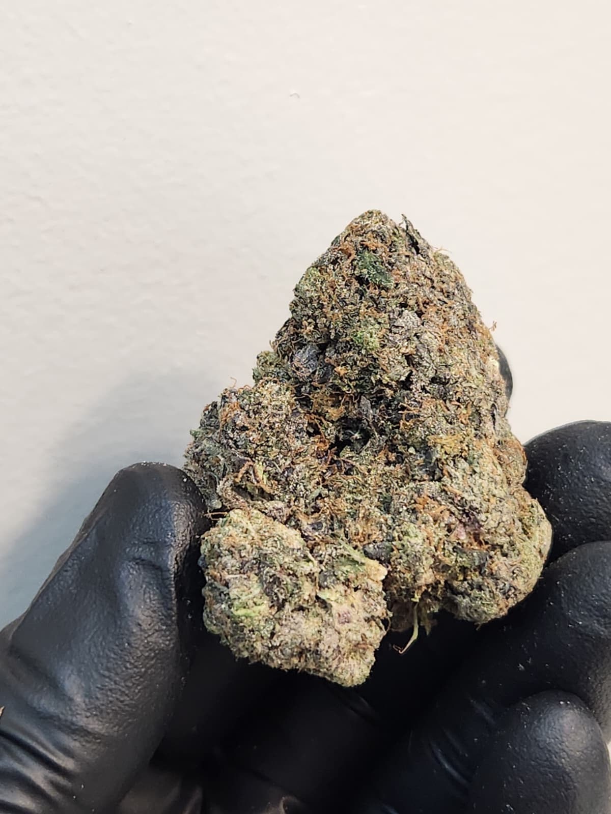 Friday Night Gass (AAAAA)