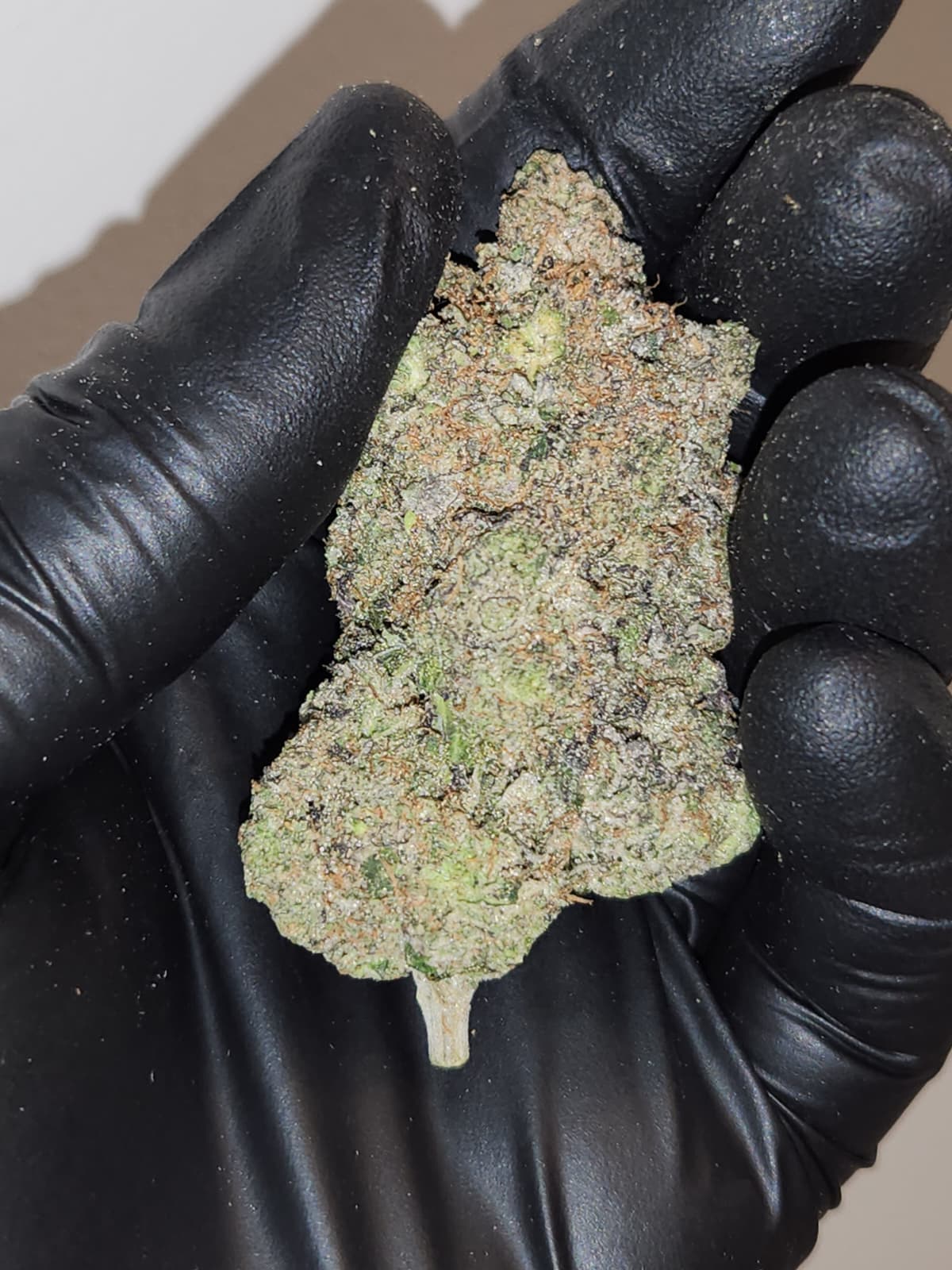 Pink Cocaine (AAAAAA)