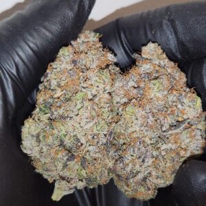 Pink Terminator AMG (AAAAAA)