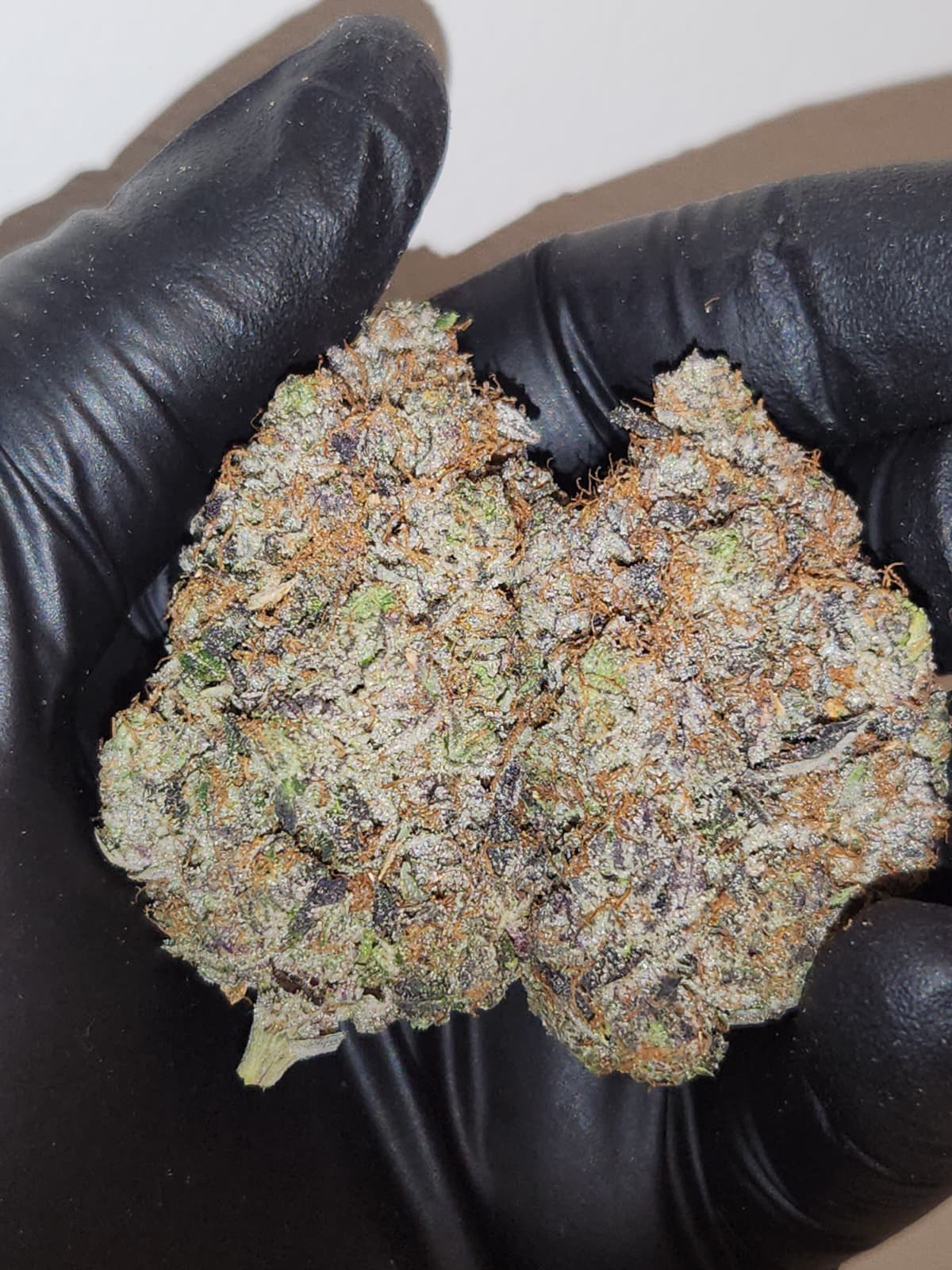 Pink Terminator AMG (AAAAAA)