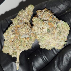 Greasy Pink (AAAAA+)