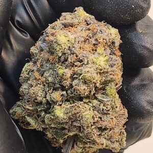 PURPLE STAR