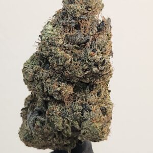 sticky cartel