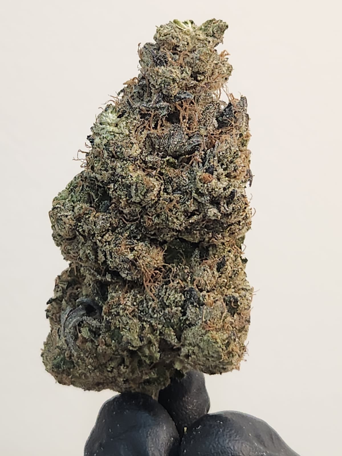 sticky cartel